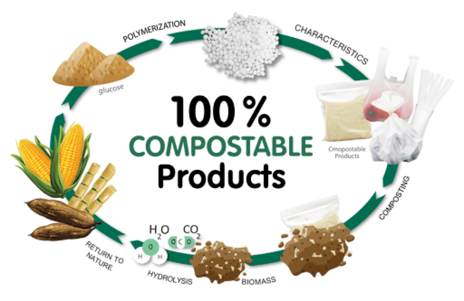 Compostable Bags Manufacturer Chennai