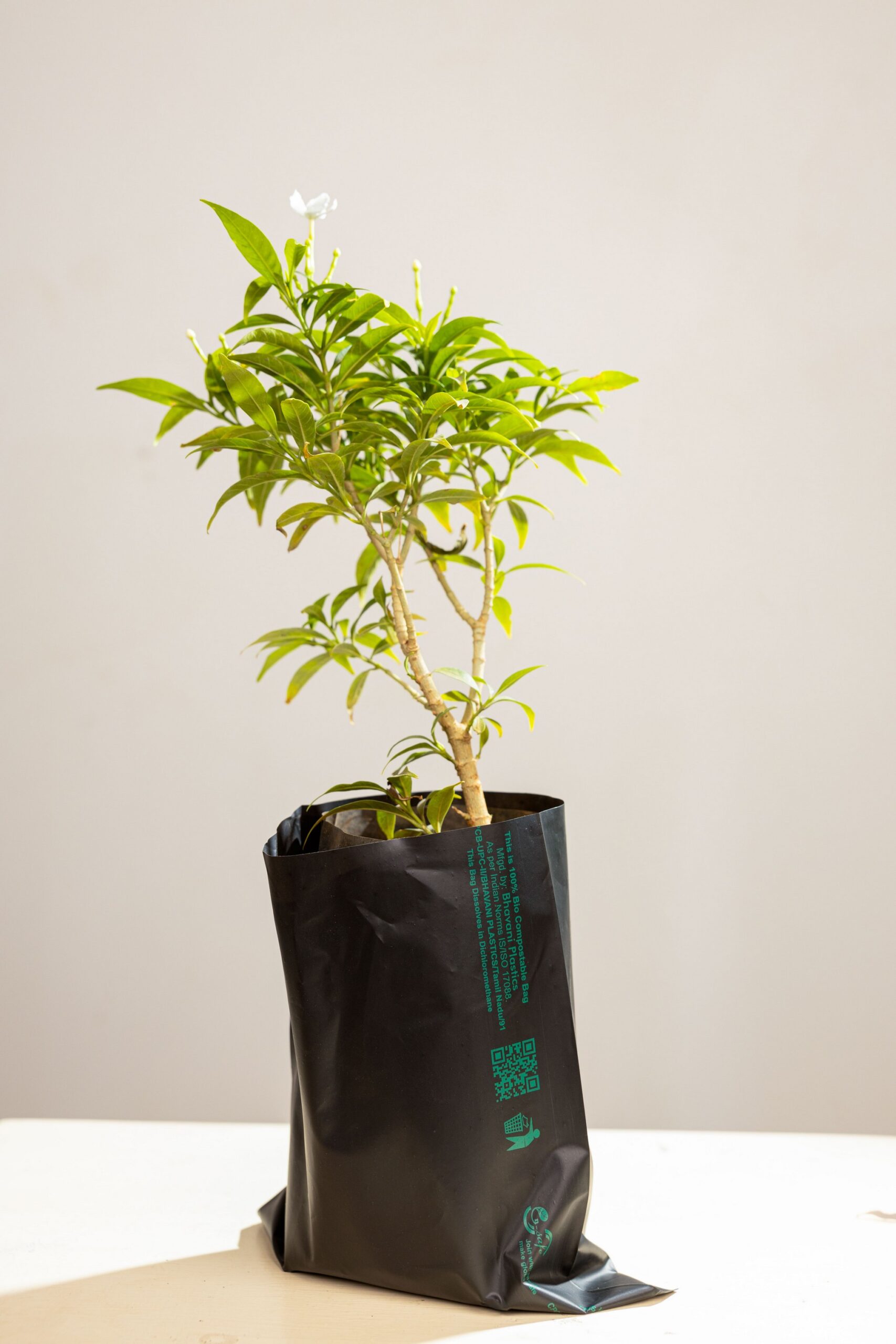 Plant Bag